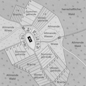 Example Allmende. Source: Werner Heinle: http://www.heinlenews.de/geschl00.htm