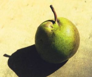 Bergamotta d'Esperen, fonte: P. Odorizzi: Profumi e sapori perduti - Il fascino della frutta antica Vol.II (2005)