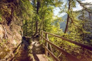 Bisse_Vercorin