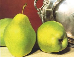 Butirra d'Hardenpont, fonte: P. Odorizzi: Profumi e sapori perduti - Il fascino della frutta antica Vol.II (2005)