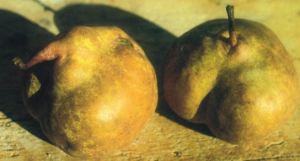 Chiappona, fonte: P. Odorizzi: Profumi e sapori perduti - Il fascino della frutta antica Vol.II (2005)