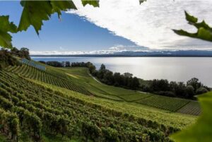 FêteVendagesN3_HouseofSwitzerland