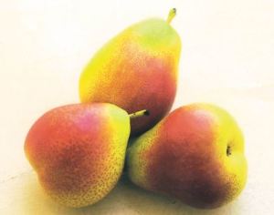 Forelle, fonte: P. Odorizzi: Profumi e sapori perduti - Il fascino della frutta antica Vol.II (2005)