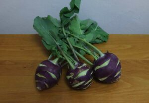 Kohlrabi_Dyna1_PSR