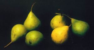 Pera di Sant'Anna, P. Odorizzi: Profumi e sapori perduti - Il fascino della frutta antica Vol.II (2005)