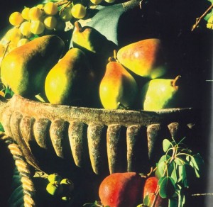 Pere, fonte: P. Odorizzi:  Profumi e sapori perduti - Il fascino della frutta antica Vol. II  (2005)