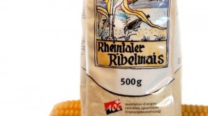 Rheintaler Ribel