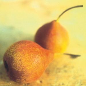 Rusin, fonte: P. Odorizzi: Profumi e sapori perduti - Il fascino della frutta antica Vol.II (2005)