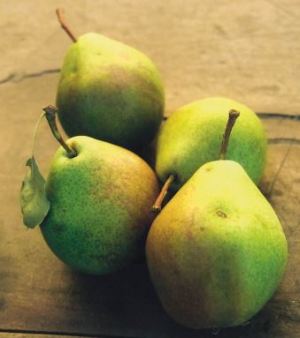 Sorbetto, fonte: P. Odorizzi: Profumi e sapori perduti - Il fascino della frutta antica Vol.II (2005)