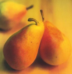 Spadona Estiva, fonte: P. Odorizzi: Profumi e sapori perduti - Il fascino della frutta antica Vol.II (2005)