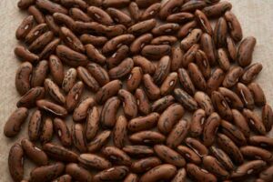 Stangenbohne_Weinländerin_PSR