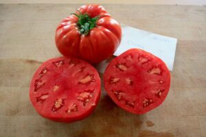 Tomate_Chancy1_PSR
