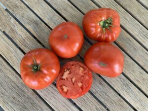 Tomate_GrosseLisse_PSR