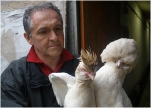 Vergleich Polverara (links) und Paduaner (rechts), Foto gru