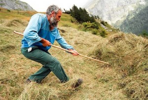 Wildheuer; Quelle: https//www.schweizerbauer.ch