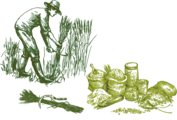 Kulturtechniken