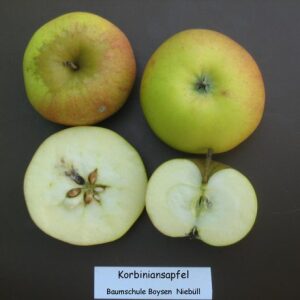 ©www.pflanzmich.ch/produkt/30319/apfel-korbiniansapfel.html
